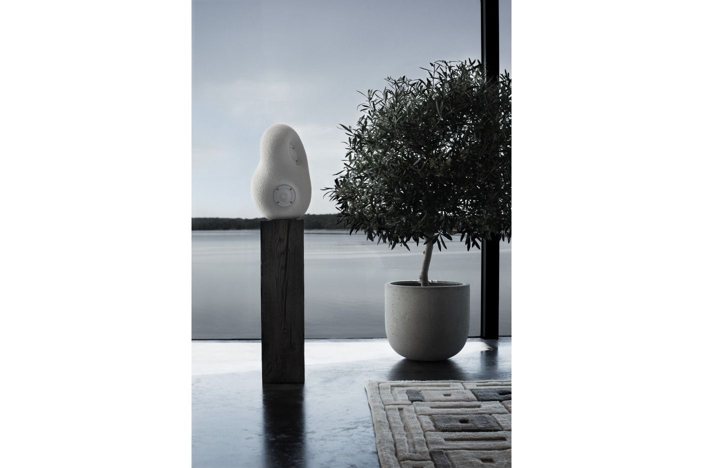 Högtalare Transparent Audio Acoustic Sculpture