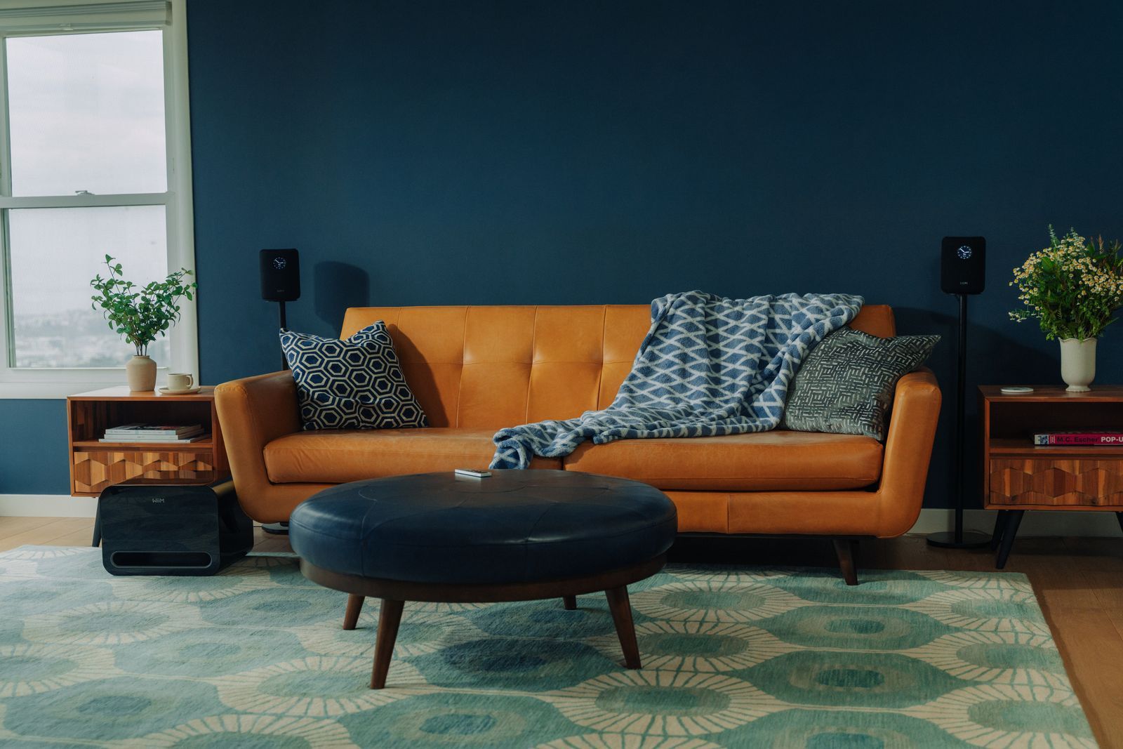 Högtalare WiiM Sound