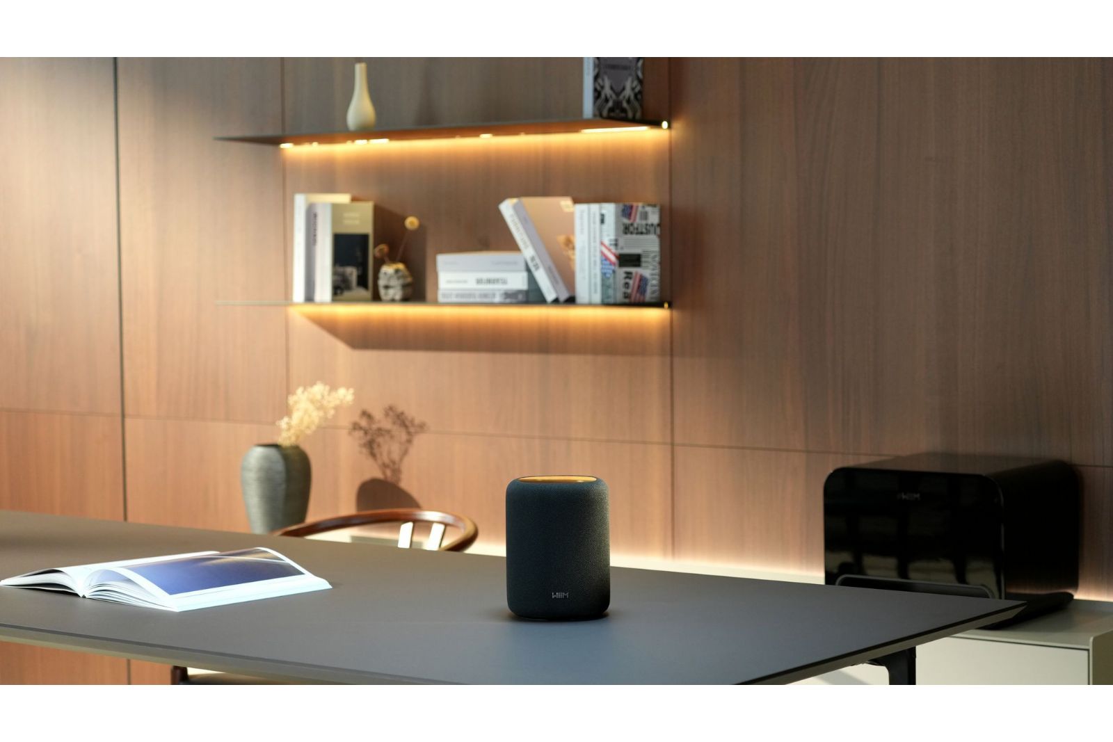 Högtalare WiiM Sound Lite