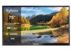 Sylvox Pool Pro 2.0 75-tum Google TV utomhus TV