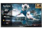 Sylvox Deck Pro 2.0 65-tum Google TV utomhus TV