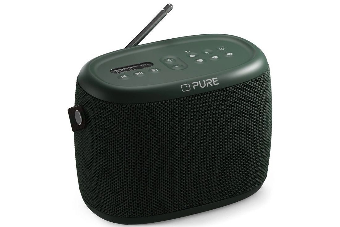 Bluetooth högtalare Pure Audio Woodland