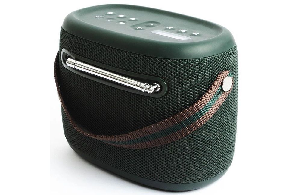Bluetooth högtalare Pure Audio Woodland