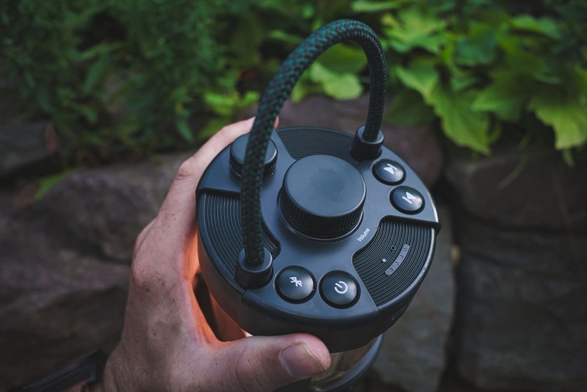 Bluetooth högtalare Pure Audio Woodland Glow